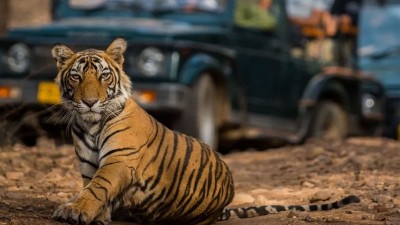Ranthambore Tiger Safari with Delhi Agra and Jaipur