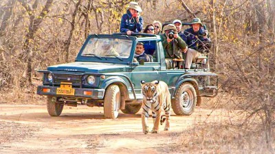 8 Days Golden Triangle Tour with Ranthambore Tiger Safari
